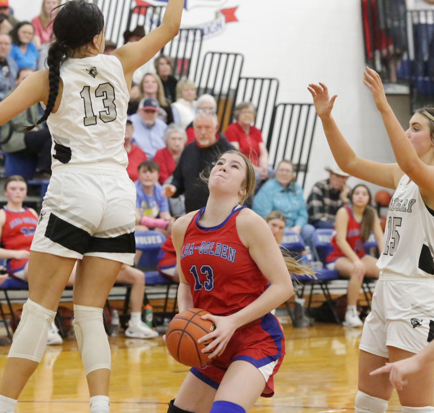 The Lady Panthers had to contend with the height of the Lindsay Lady Knights in last Friday’s area round playoff. Lainey Teel works to get a shot off.
